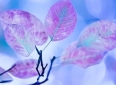 20句超经典的励志正能量句子句句积极向上激励人心，让人斗志昂扬