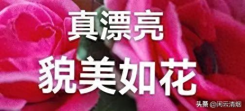 两性情感：走过半生才看透，中年爱情藏在不起眼的小事里