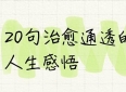 20句治愈通透的人生感悟