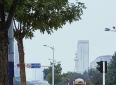 人这一辈子，最难得的爱情，其实是“有人懂你”