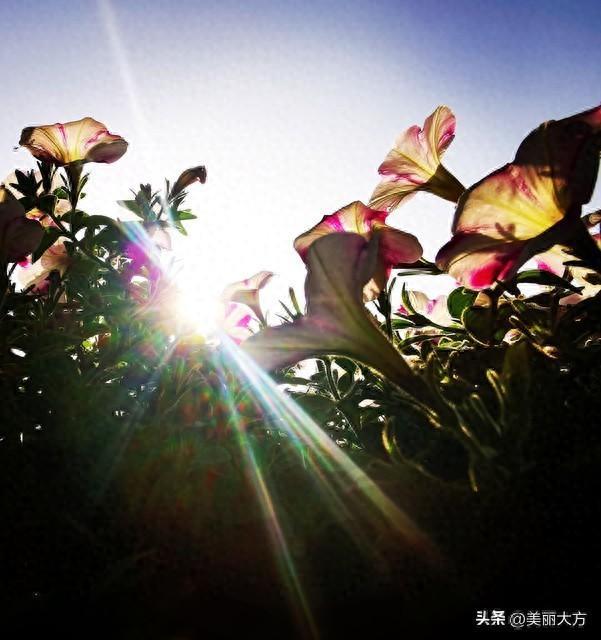 世界十大名言