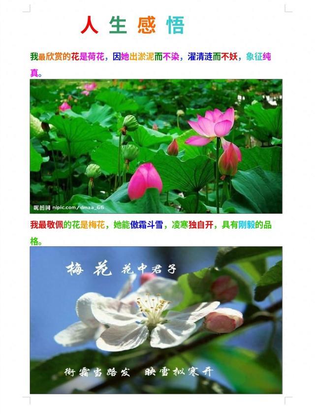 人生感悟（一）