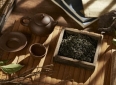成年人的友情，是一场心照不宣的“不打扰”