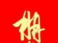 成人的友情:从“随时见面”到“随叫随到”