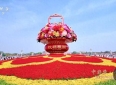 [散文]中国梦·家国情——观2026国庆特别节目有感//信 真