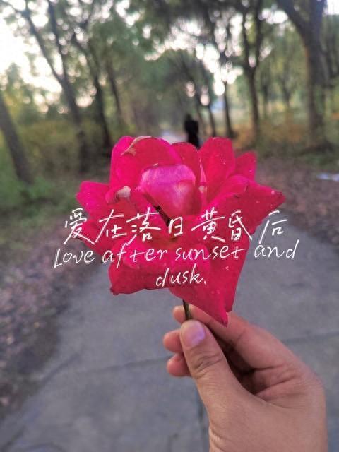 情感爆文：有一种深爱，叫爱到无能为力，痛到只能释怀
