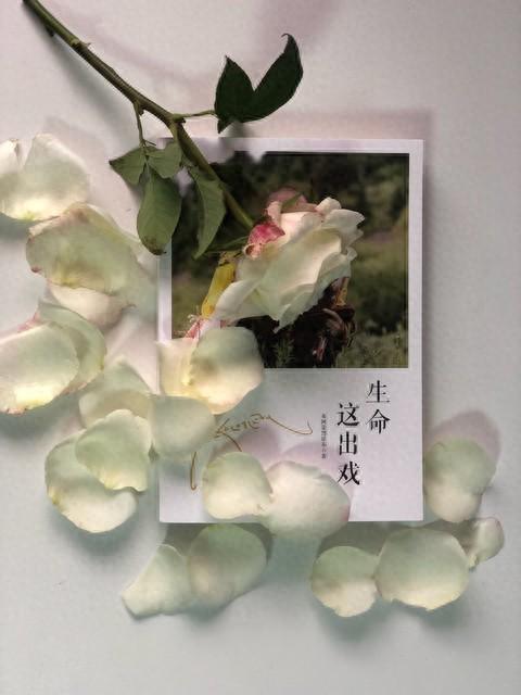 （一一六）生活日记：孩子的成长就是同父母渐行渐远的过程