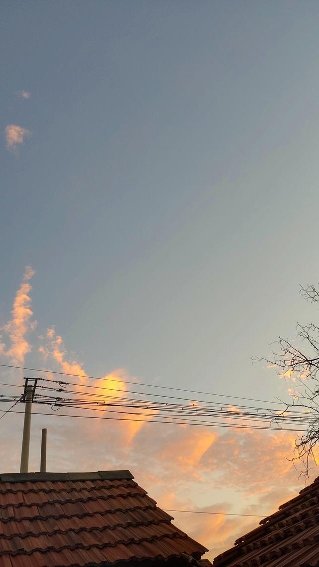 在娘家住了10天，我彻底醒悟：对儿子也要学会“闭嘴”