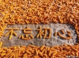 一个感人的故事：刻在心底的承诺