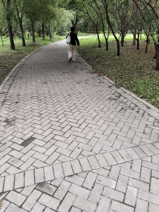 感动是慢慢攒出来的
