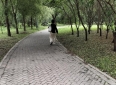 感动是慢慢攒出来的