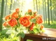 哲理散文：唯有今日，不负流年