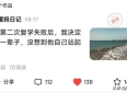 写了650篇没人看，那篇写儿子休学的文章阅读过万，145人收藏！