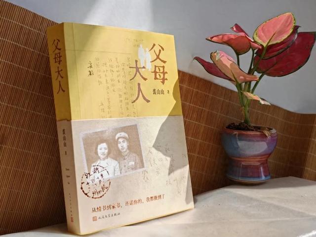 不煽情不呐喊，却让人热泪盈眶！她笔下的家庭往事，有温暖人心的力量