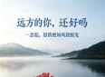 情感爆文：远方的你，还好吗？一念起，思情便如风般摇曳