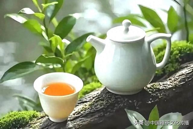 哲理散文：凡心所向，素履以往