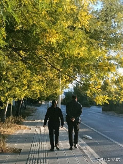 亲情绵长 深秋空旷