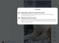获救北极熊带崽归来？感人故事竟是AI编造