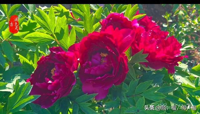 人生感悟(深度好文)