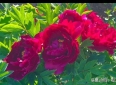 人生感悟(深度好文)